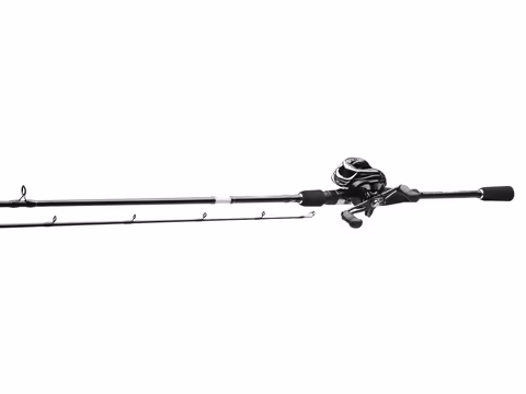 Kinetic Ozor Bc Cl