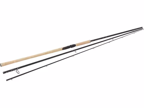 W2 Salmon
