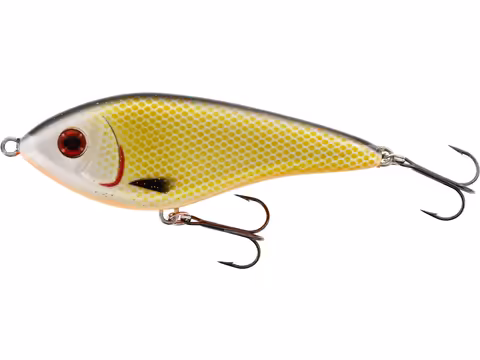 WESTIN SWIM GLIDEBAIT 10CM 31G LOW FLOATING OFFICIAL ROACH