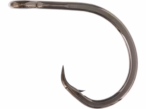 Westin Circle Hook 2pcs