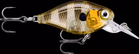 X-Light Crank Mid Runner