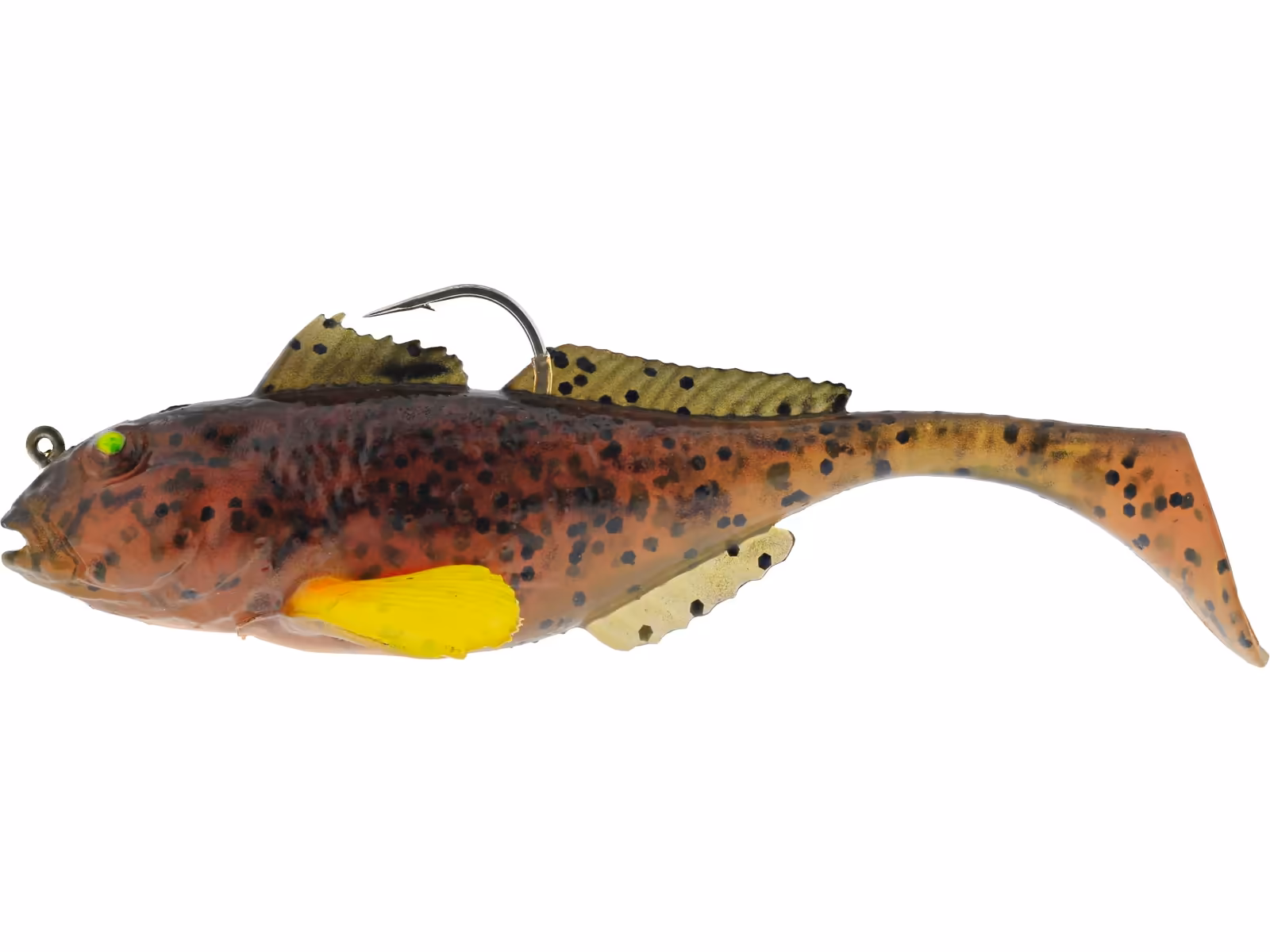 GUNNAR THE GOBY R2F