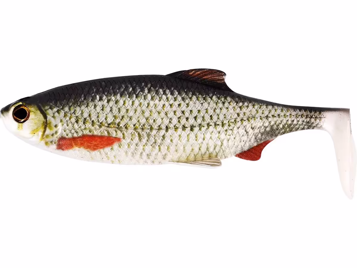 WESTIN RICKY THE ROACH SHADTAIL 7-18CM/6-85G 1PC