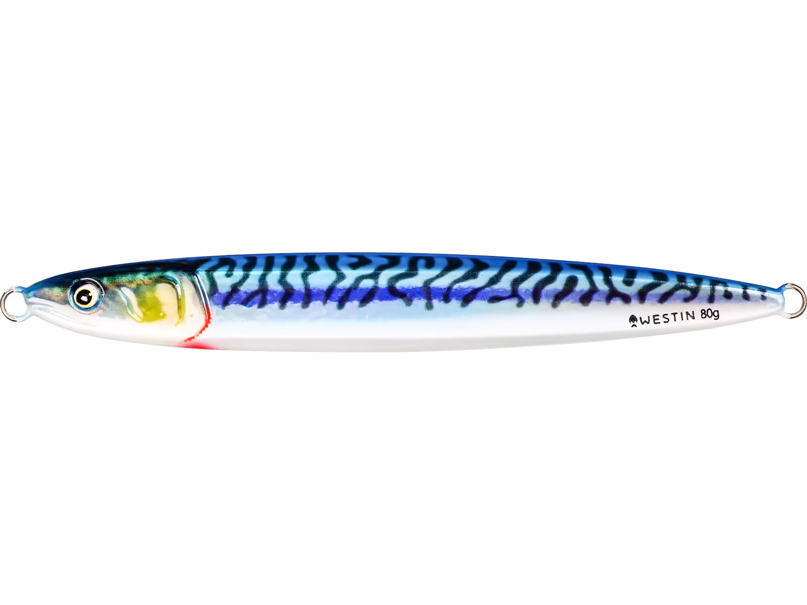 FLASHIN' ANCHOVY